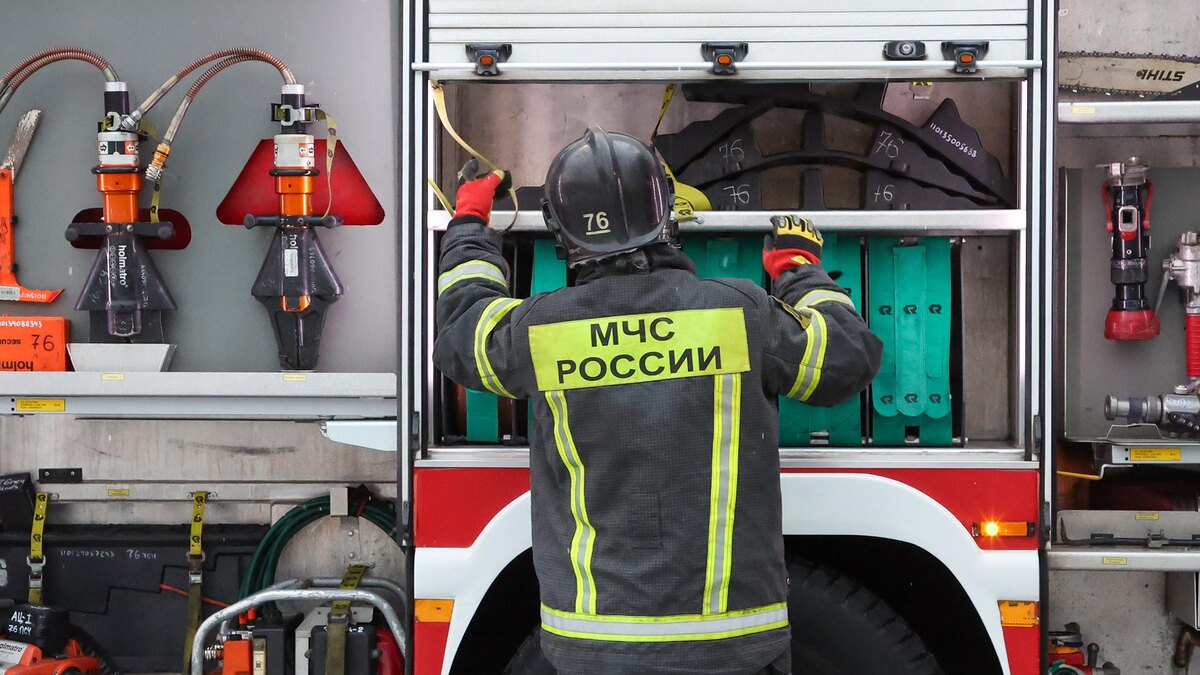    Фото: Belkin Alexey/globallookpress.com