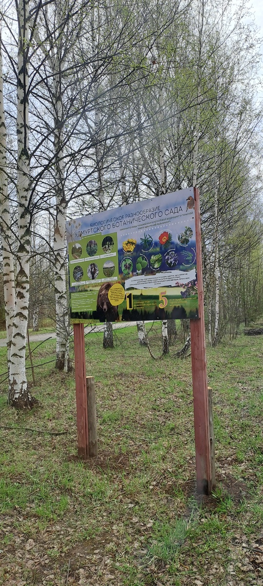 У въезда (фото автора)