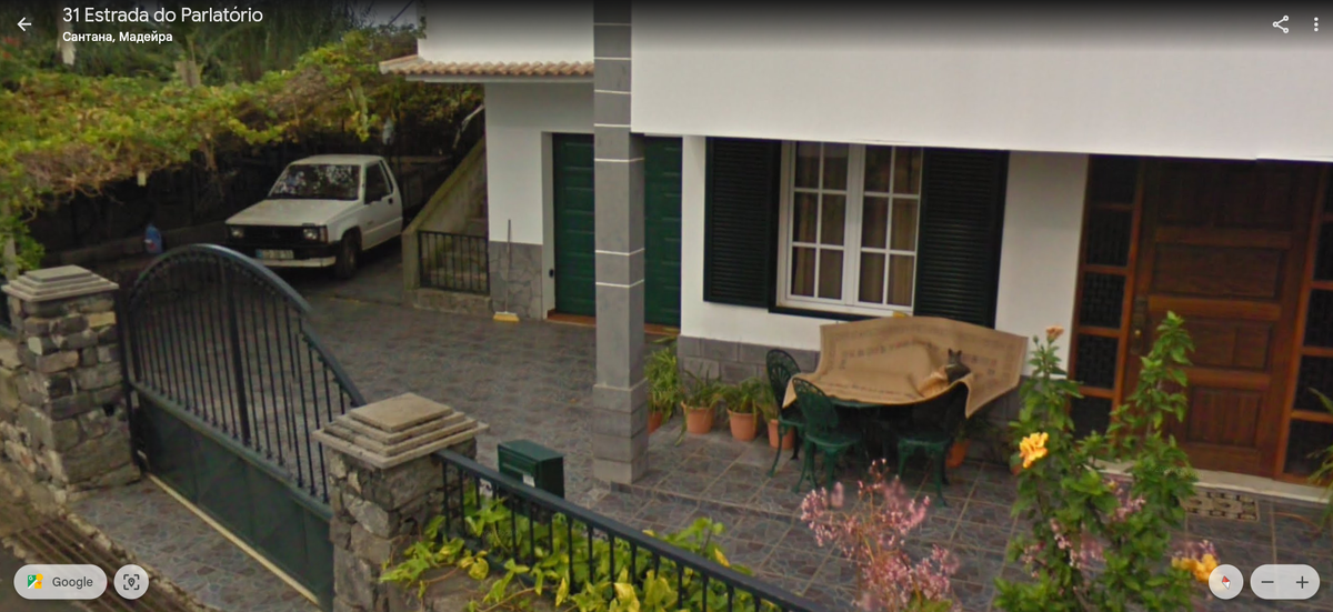 Даже котиков нашла