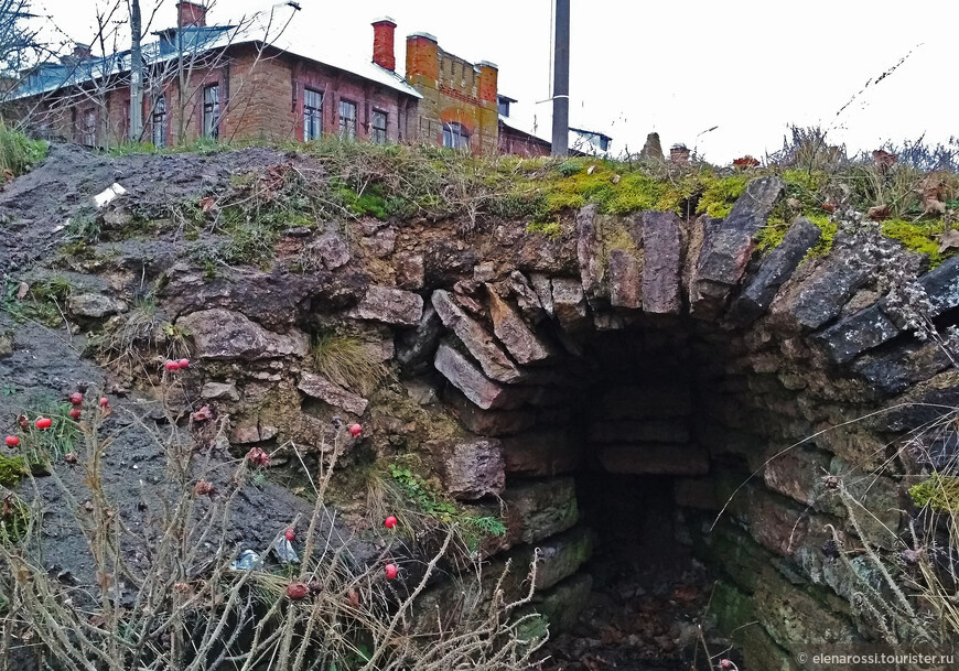 © Елена Яхонтова