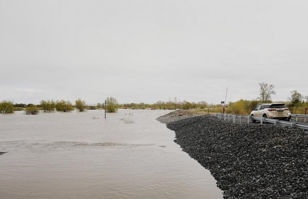 Фото: Telegram-канал Александра Моора