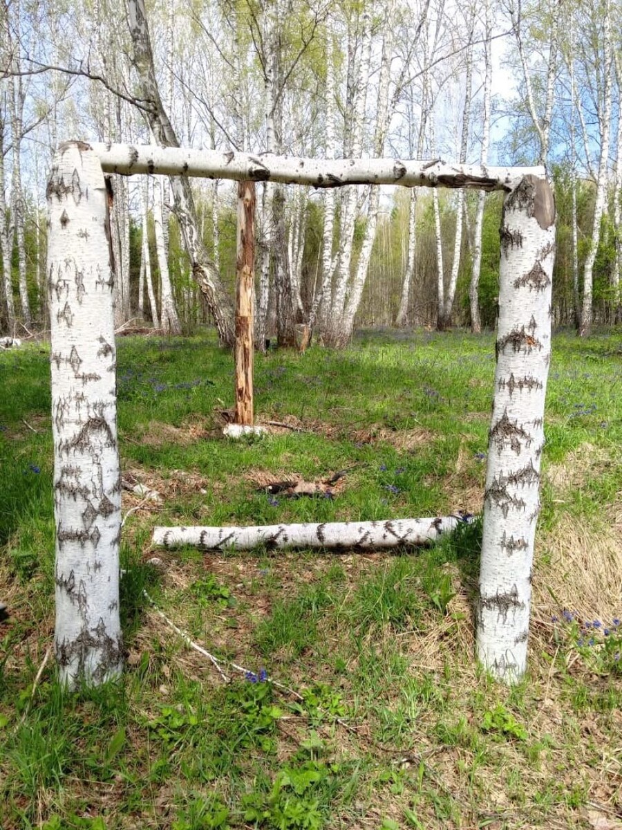    Необычная поляна. Источник: Светлана Тихонова, vk.com/gribniki22rus