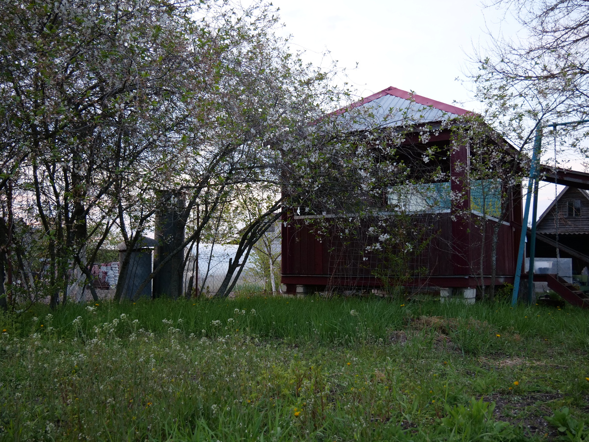 Вид на беседку со стороны железной дороги и скозь заросли пастушьей сумки