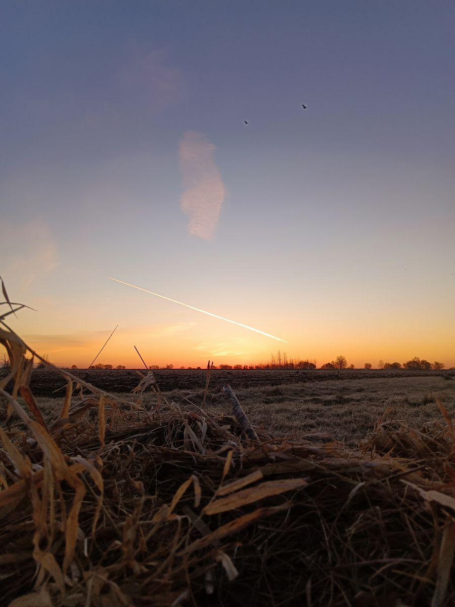 морозный рассвет