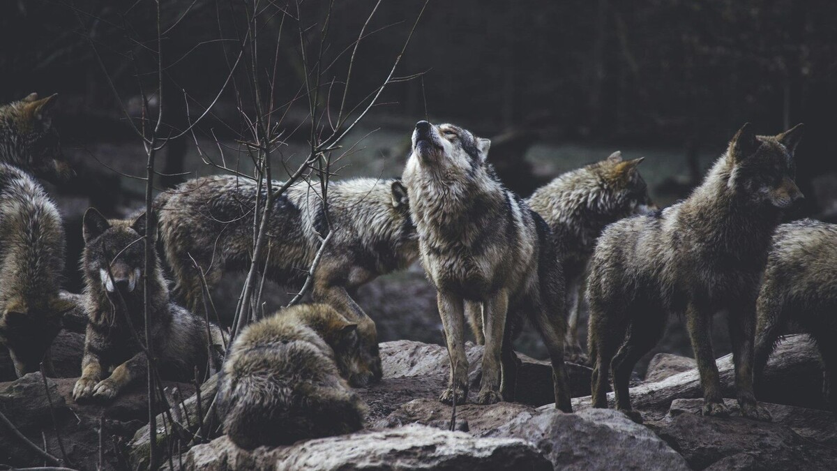     Автор: Unsplash