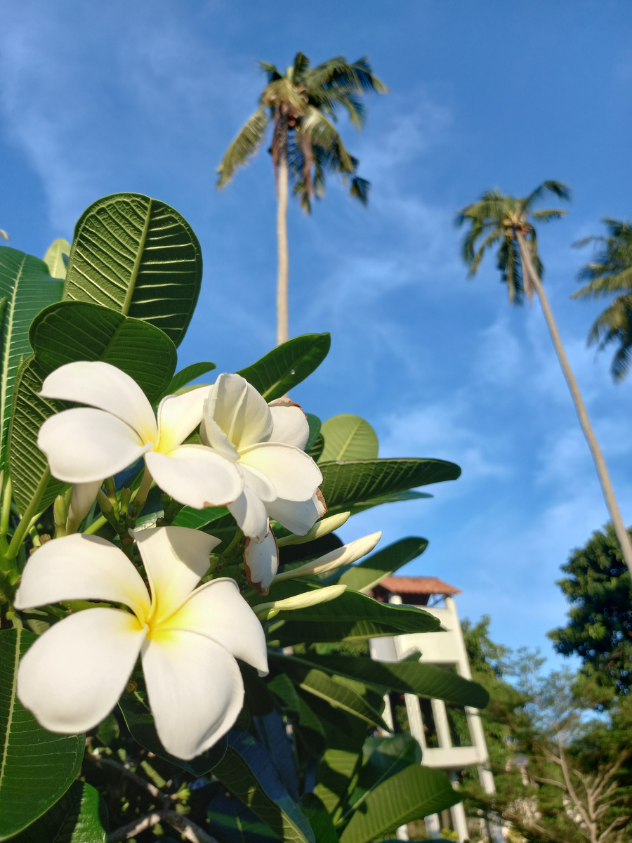 мое настроение До массажа