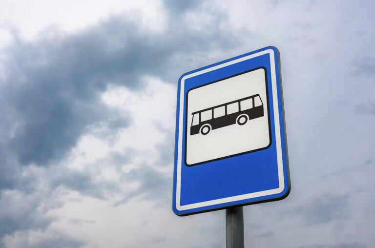    Фото: freepik.com/wirestock Ксения Евдокимова