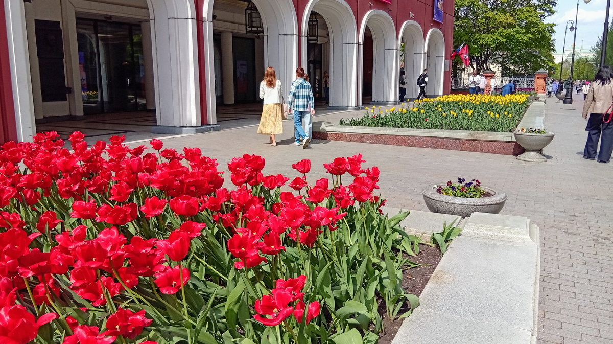 Тюльпаны на клумбах у галереи. Просто красиво. Фото из личного архива автора. 