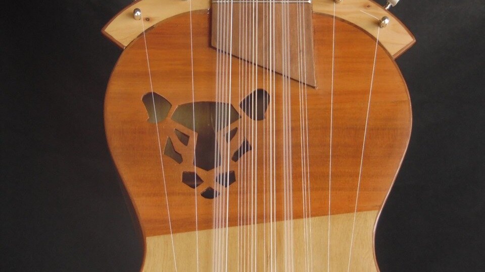 Гитаррон по-чилийски: энергия 25 струн