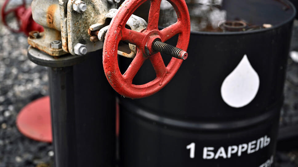 Фото: Александр Миридонов / Коммерсантъ