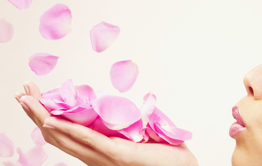 Яндекс Картинки