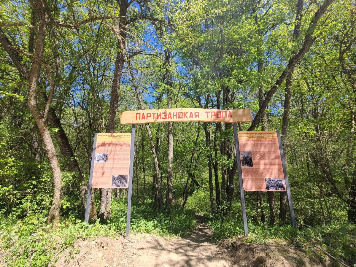 Эколого-патриотический маршрут «Партизанскими тропами Белогорского района» // Фото: Олег Древницкий