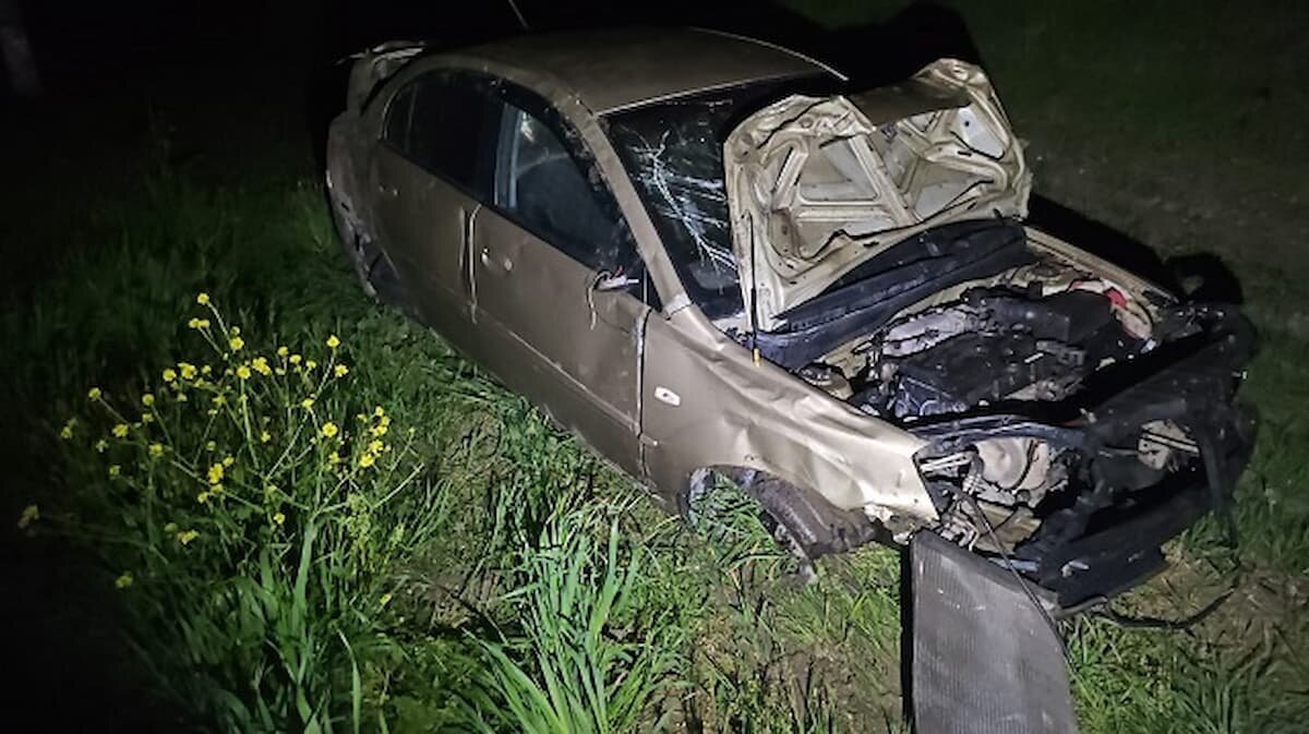    Фото t.me/gibdd123region