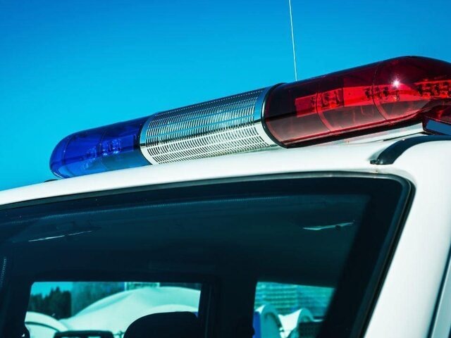    Фото: 123RF/olegdoroshin