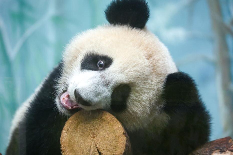    Сергей Петров/NEWS.ru