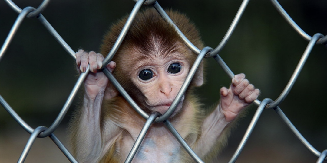 Жертвы буллинга. История одного мальчика.