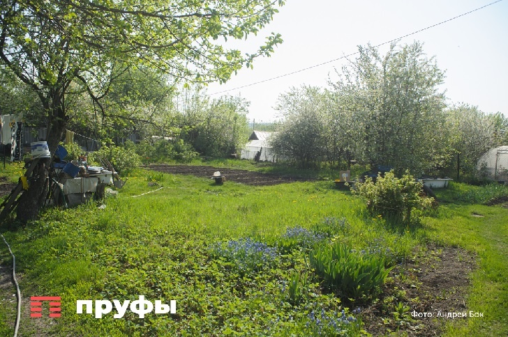    Фото: Пруфы.рф