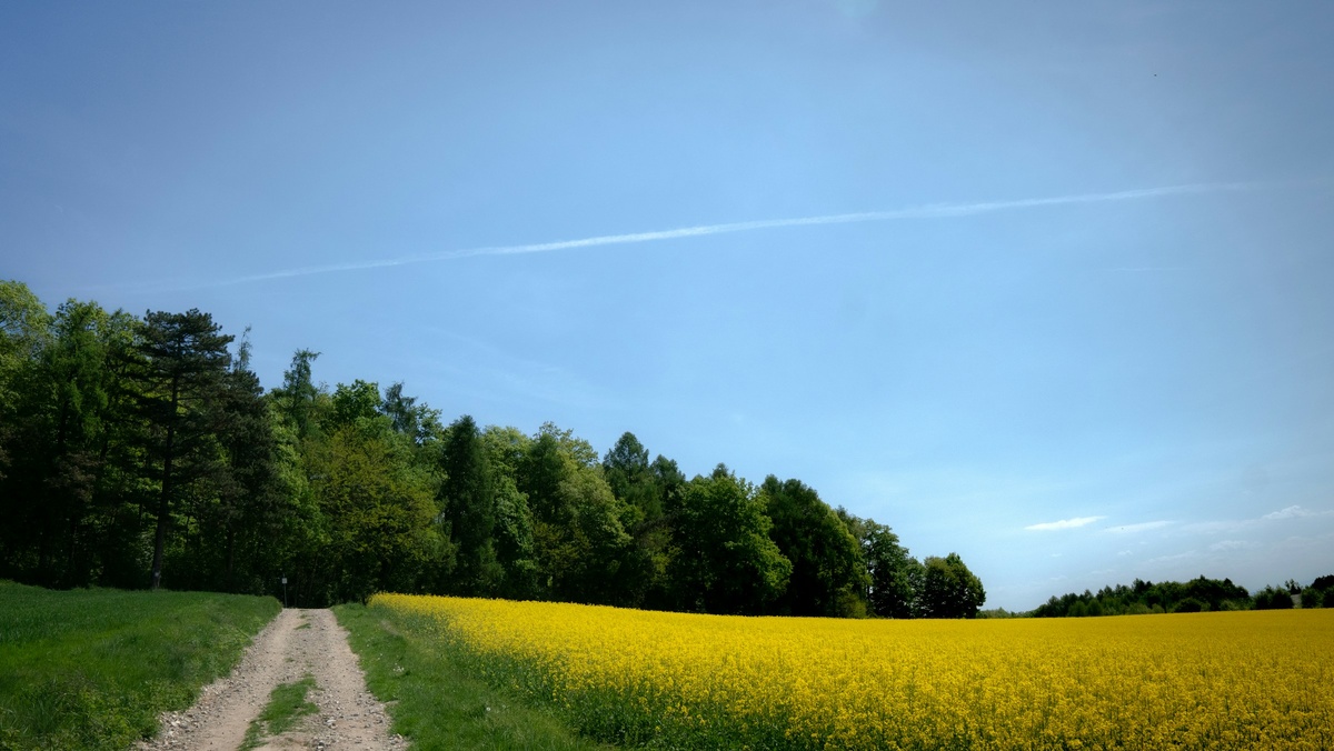 Фото с бесплатного фотостока https://unsplash.com, автор Rudolph Musngi