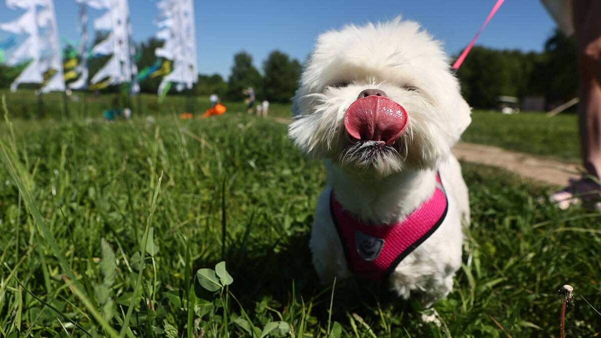    Фото: Ярослав Чингаев / АГН Москва