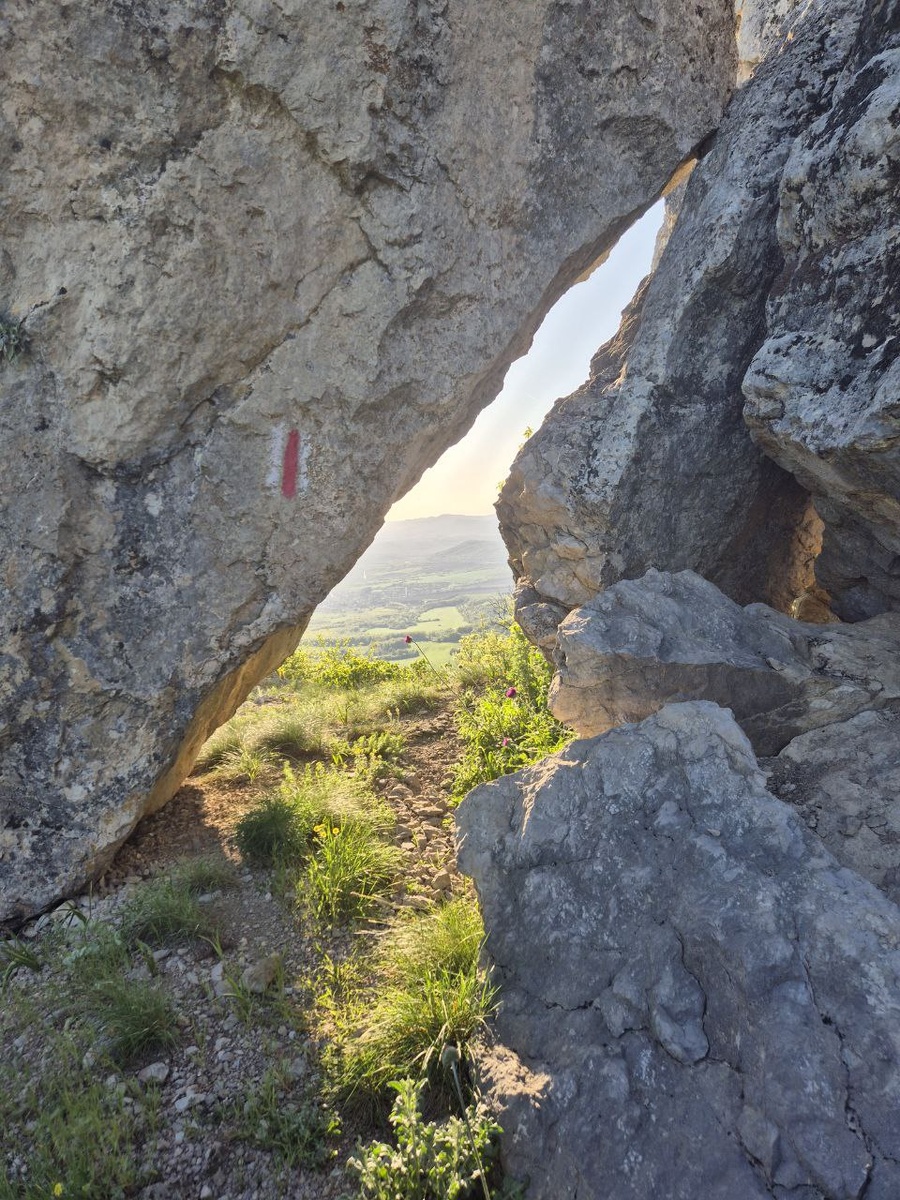 Окошко в светлое настоящее :)