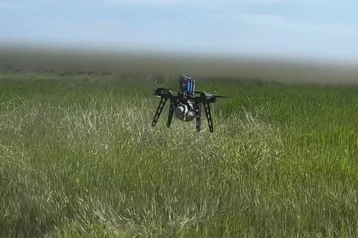   В Курской области две женщины погибли из-за атаки FPV-дрона на автомобиль