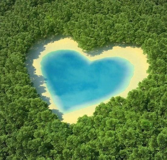 Картинка найдена на просторах интернета, ссылка: https://yandex.ru/images/search?from=tabbar&img_url=https%3A%2F%2Fscontent-hel3-1.cdninstagram.com%2Fv%2Ft51.2885-15%2Fe15%2F10724807_589036317886077_1880705895_n.jpg%3F_nc_ht%3Dscontent-hel3-1.cdninstagram.com%26_nc_cat%3D109%26_nc_ohc%3DNkDwIIImLeQAX842KUw%26edm%3DABfd0MgBAAAA%26ccb%3D7-4%26oh%3D00_AT89A5s8iANru5M3bhFJzkRVXwu4GOdHK6U2LG32tcVxsA%26oe%3D61F8EDAC%26_nc_sid%3D7bff83&lr=103814&pos=3&rpt=simage&text=%D0%BA%D1%80%D0%B0%D1%81%D0%B8%D0%B2%D1%8B%D0%B5%20%D0%B2%D0%B8%D0%B4%D1%8B%20%D0%BF%D1%80%D0%B8%D1%80%D0%BE%D0%B4%D1%8B%20%D0%BB%D1%8E%D0%B1%D0%BE%D0%B2%D1%8C%20%D1%84%D0%BE%D1%82%D0%BE