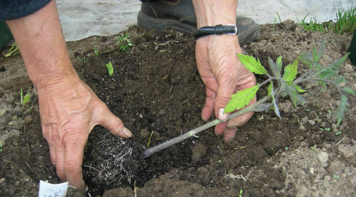 высадка под укрытие