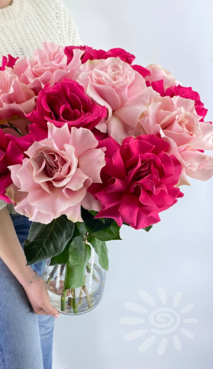 Это не особый сорт, выращенный на виноградниках Прованса. И даже не редкий вид, который можно встретить только в садах Версаля.  "Французскими" сейчас называют розы с эффектом вывернутых лепестков. И не важно, в какой стране они были выращены.
 