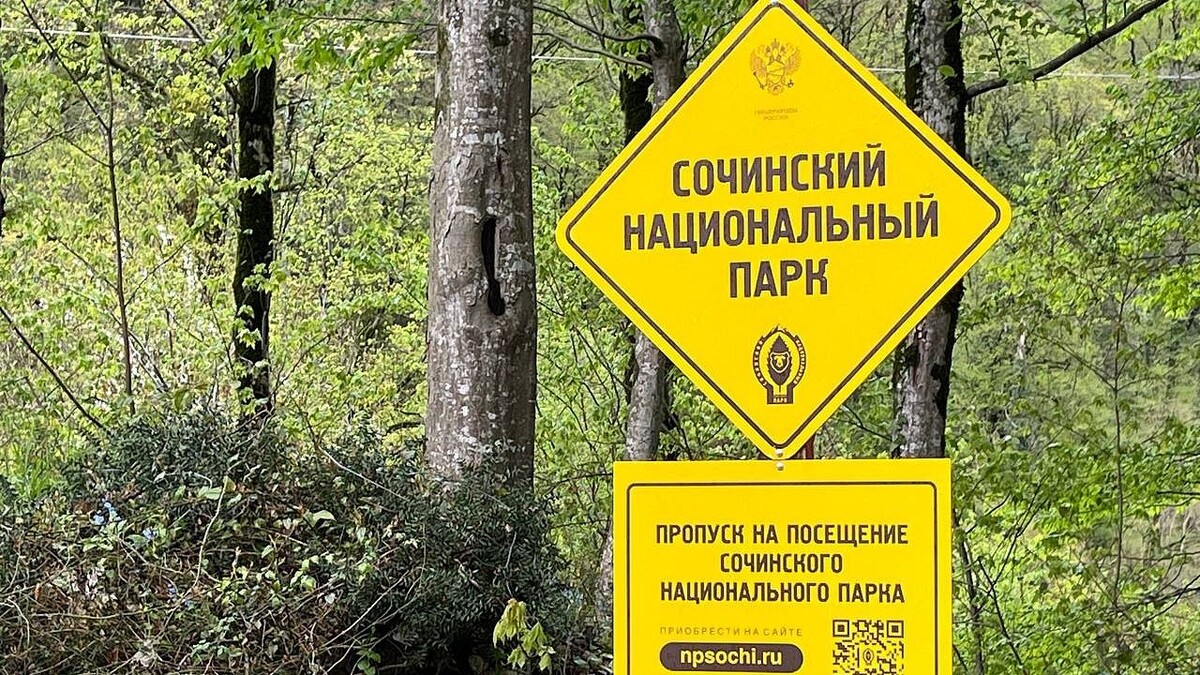    Фото: телеканал «Краснодар»