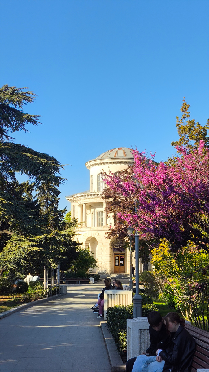 Севастополь. Пл. Ушакова. Цветёт версии