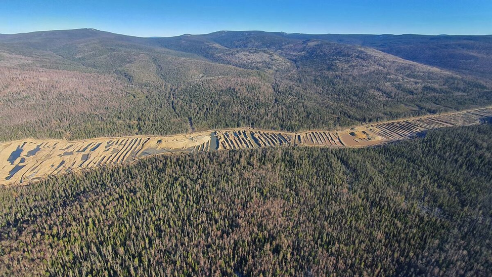 Фото: взято из открытых источников