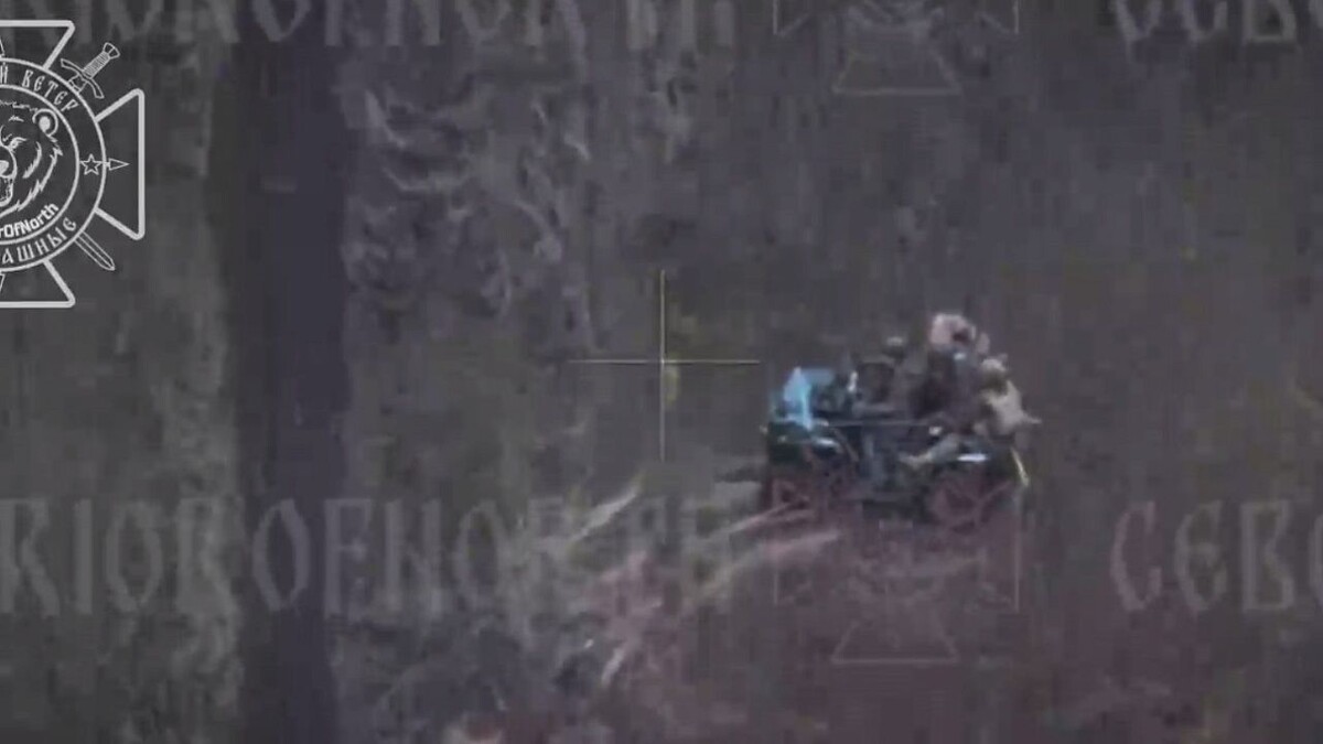    Фото: t.me/warriorofnorth