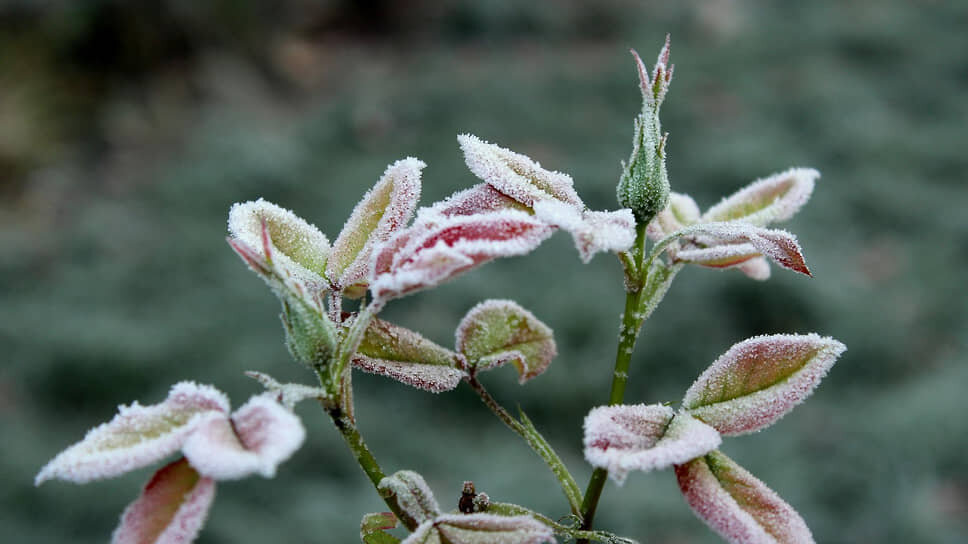 Фото: «Ъ-Кубань»
