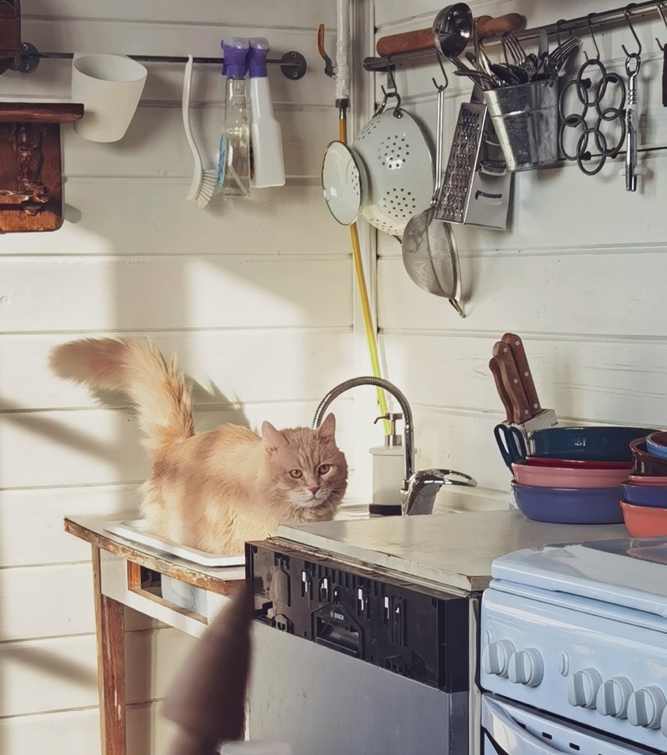 Это он дудонит, стоя в раковине, сразу после возвращения из второго дома.