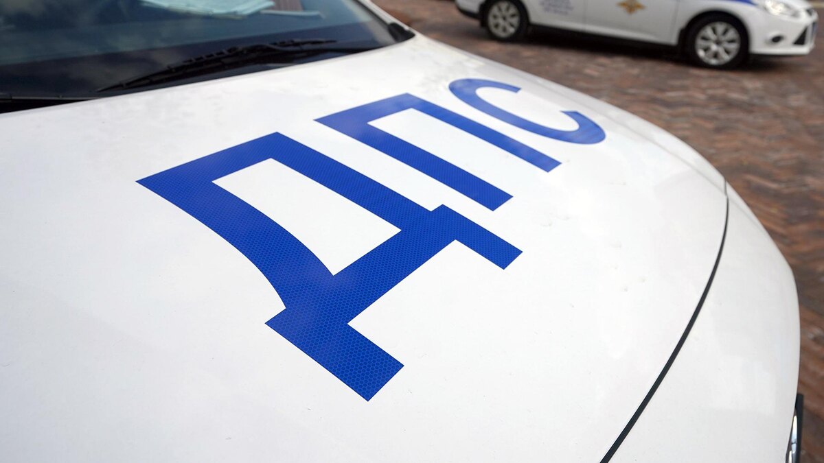    Фото: ИЗВЕСТИЯ/Эдуард Корниенко