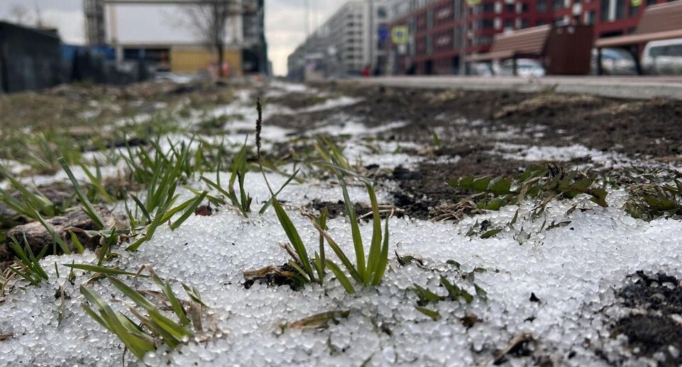    РИА «Новости»