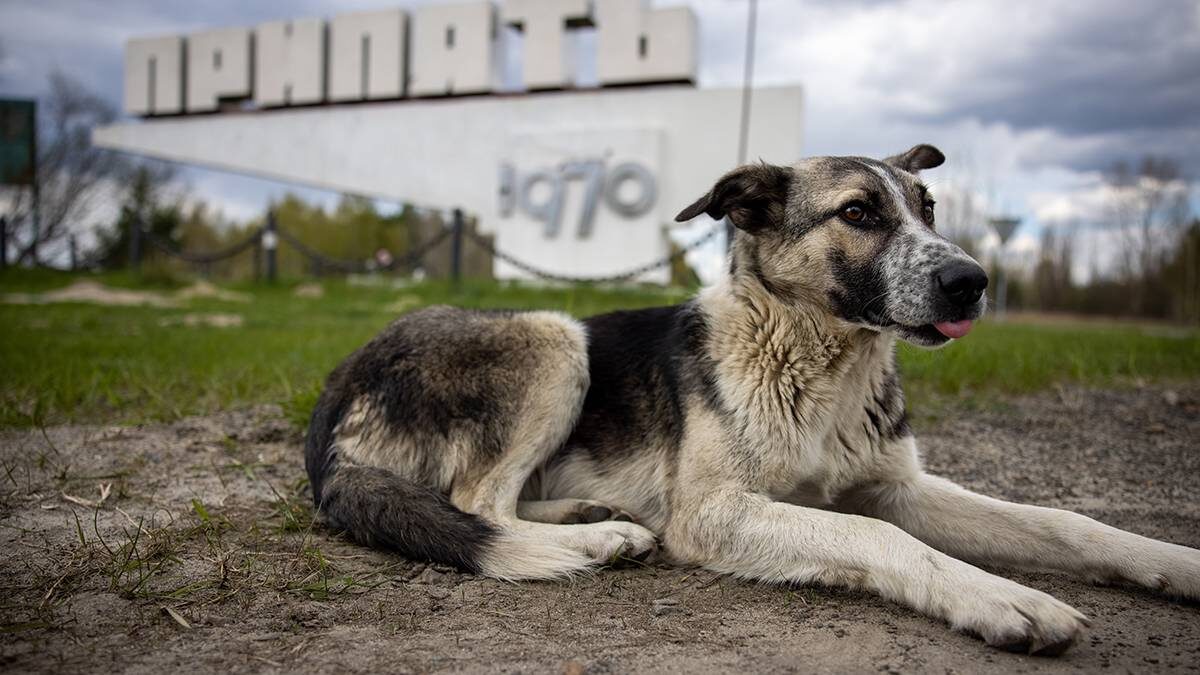    Фото: Shutterstock