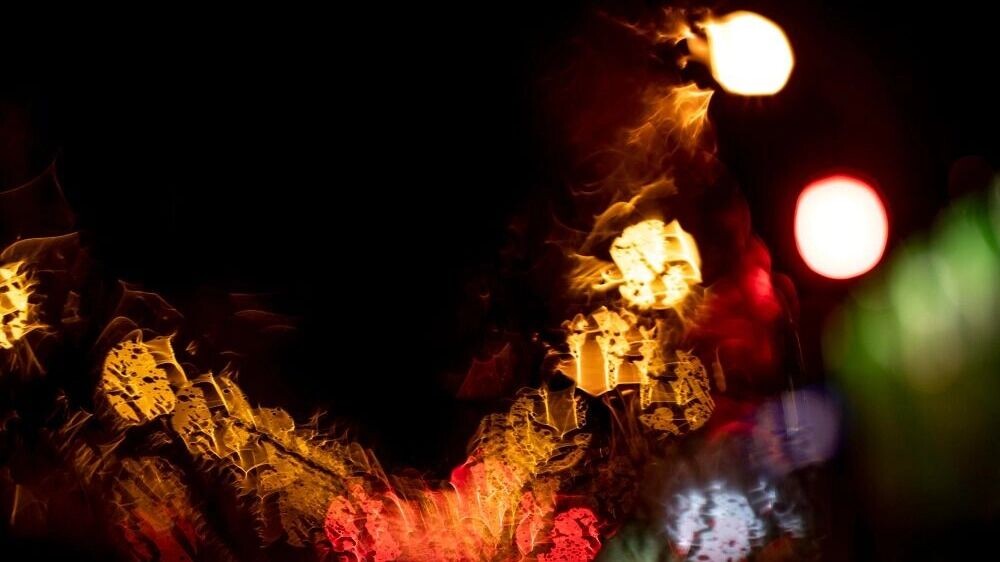     Автор: freepik.com