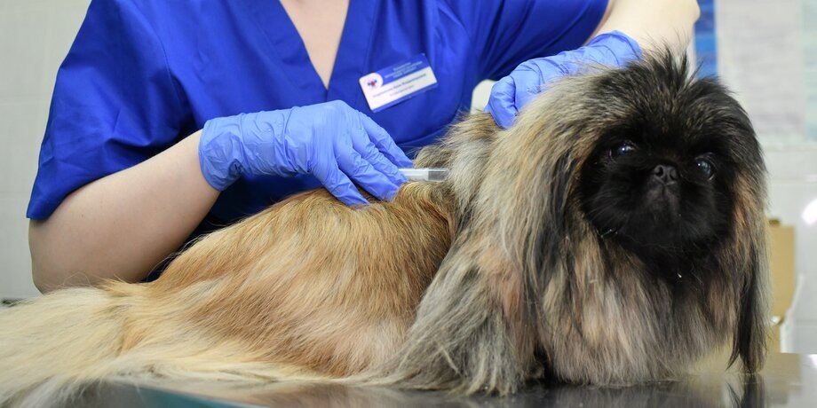 Фото: Москва 24/Антон Великжанин