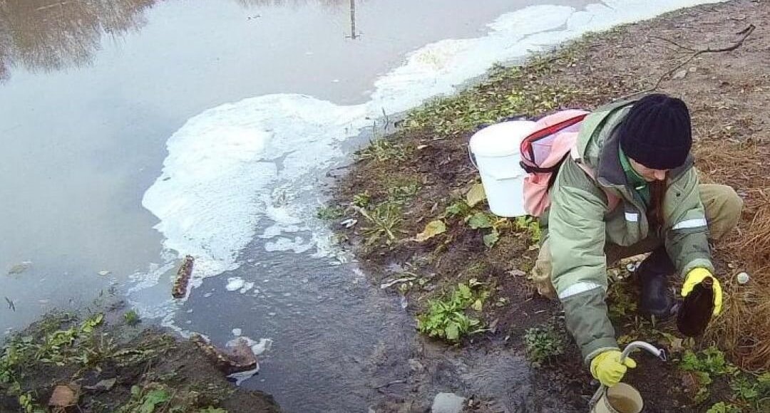    Фото: Росприроднадзор