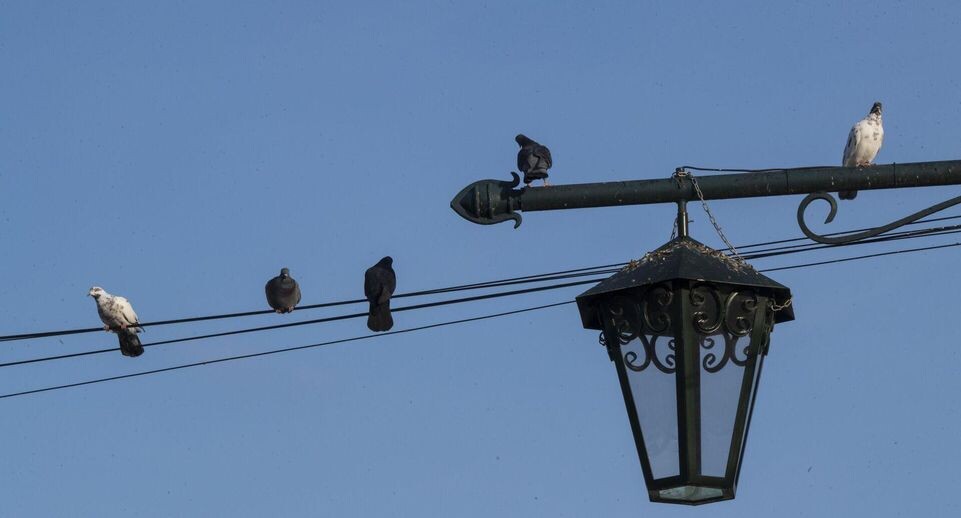    РИА «Новости»