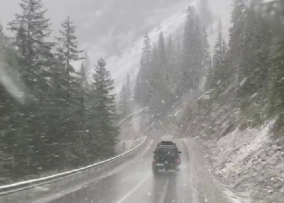    Снег в Республике Алтай. Источник: Кадр из видео