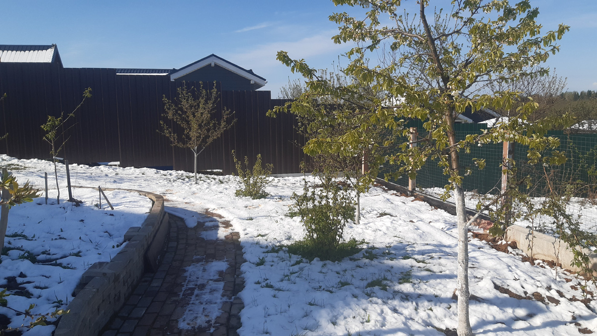 Тепло и снежно