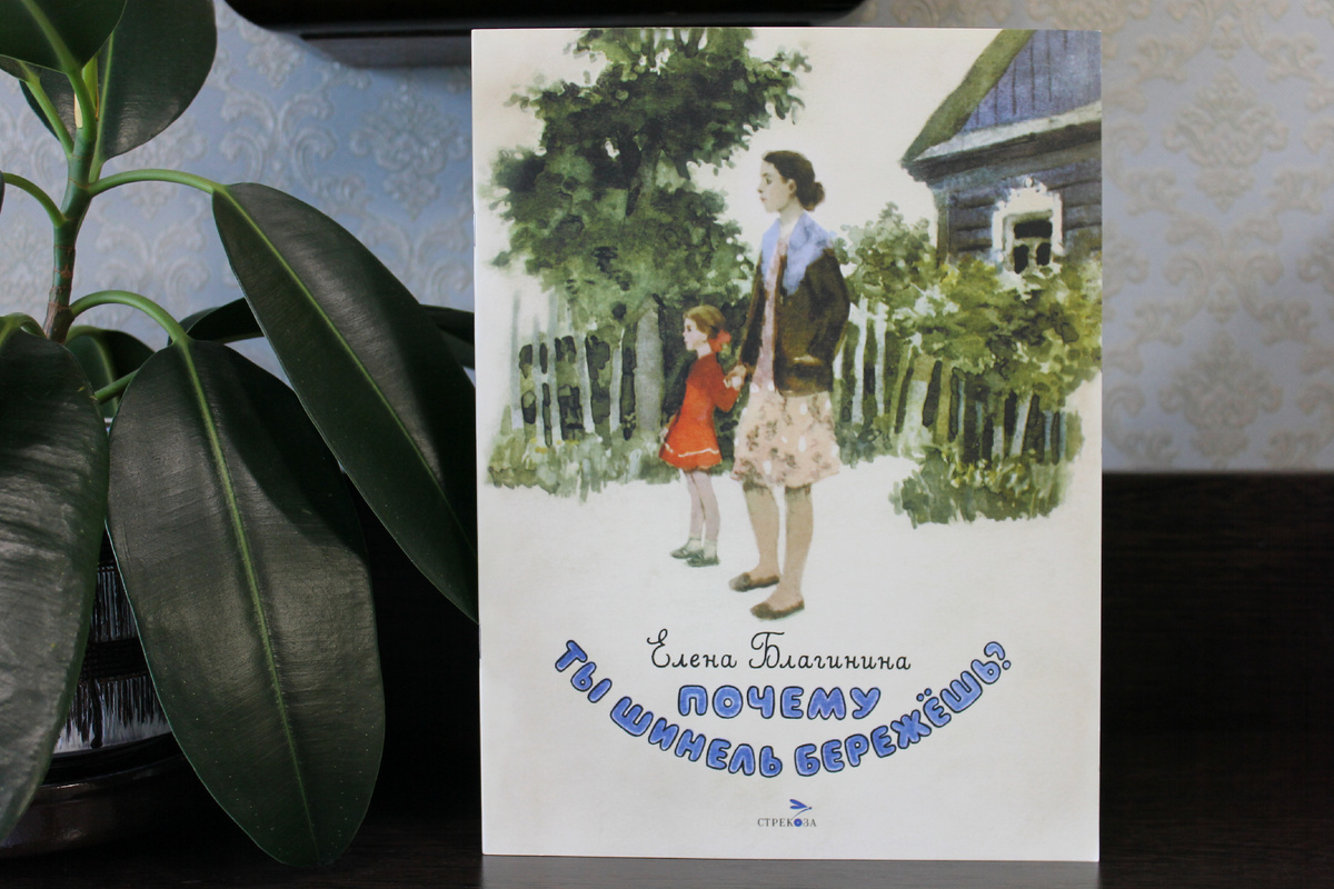 Е. Благинина "Почему ты шинель бережешь?", Издательство "Стрекоза", 2025 год.  Фото автора статьи.