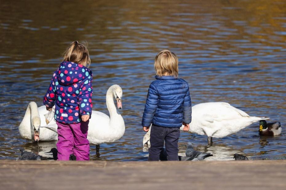    Сергей Булкин/NEWS.ru