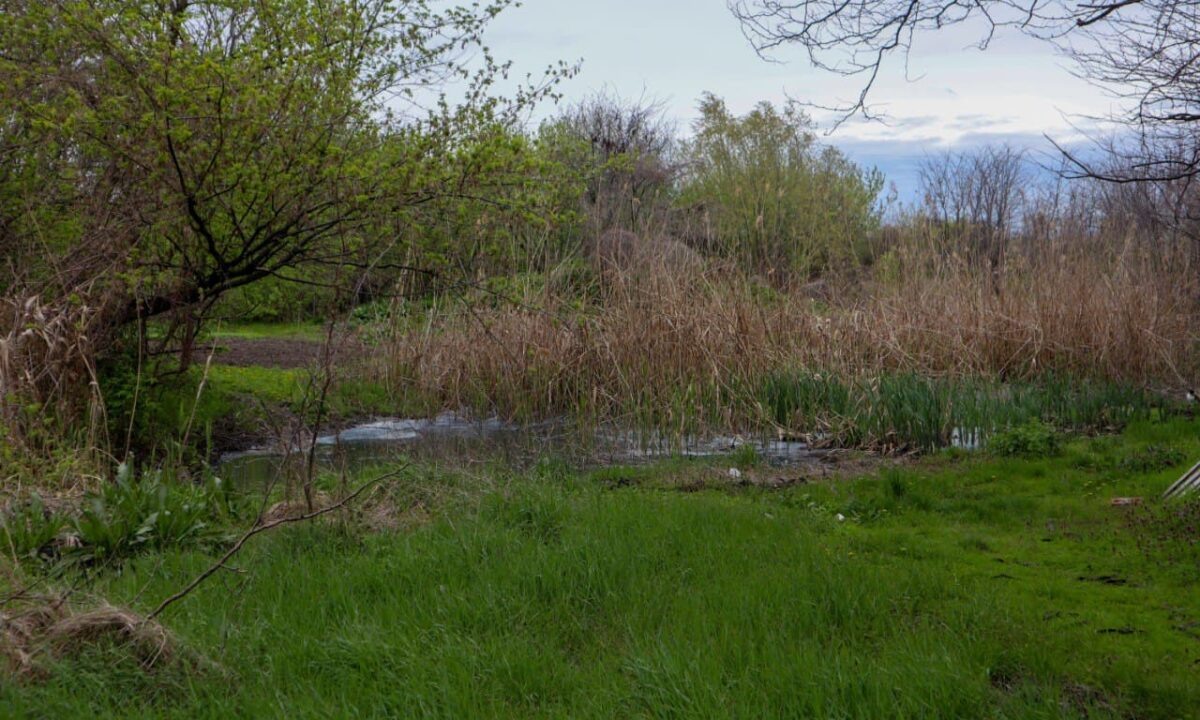    Фото пресс-службы администрации Армавира