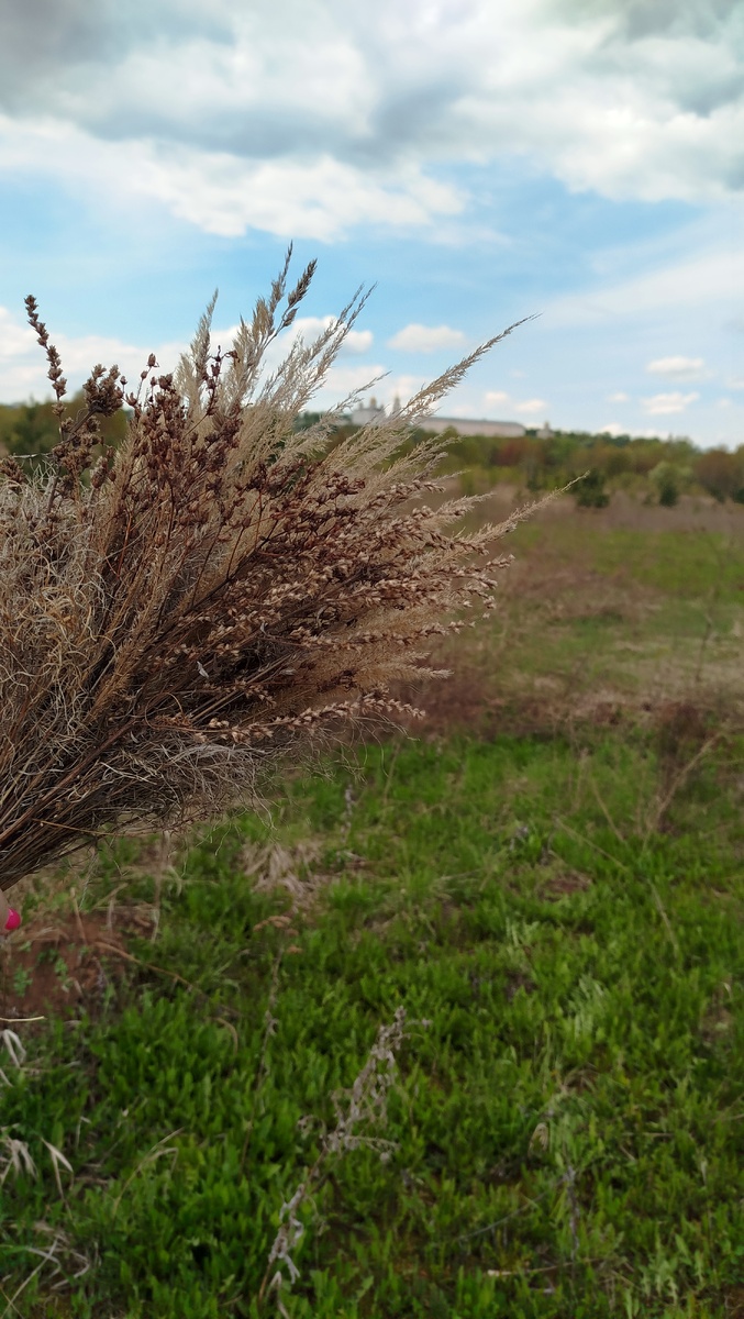 Около реки Клязьма 