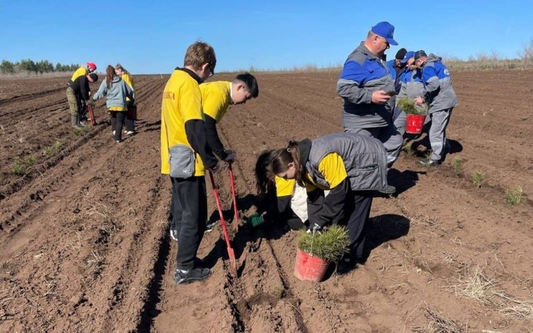    7 мая в Оренбурге высадят «Тополь Победы» Оренбуржье