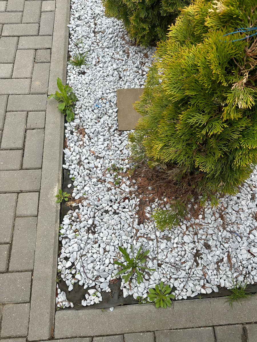 После зимы камни еще не подсыпала