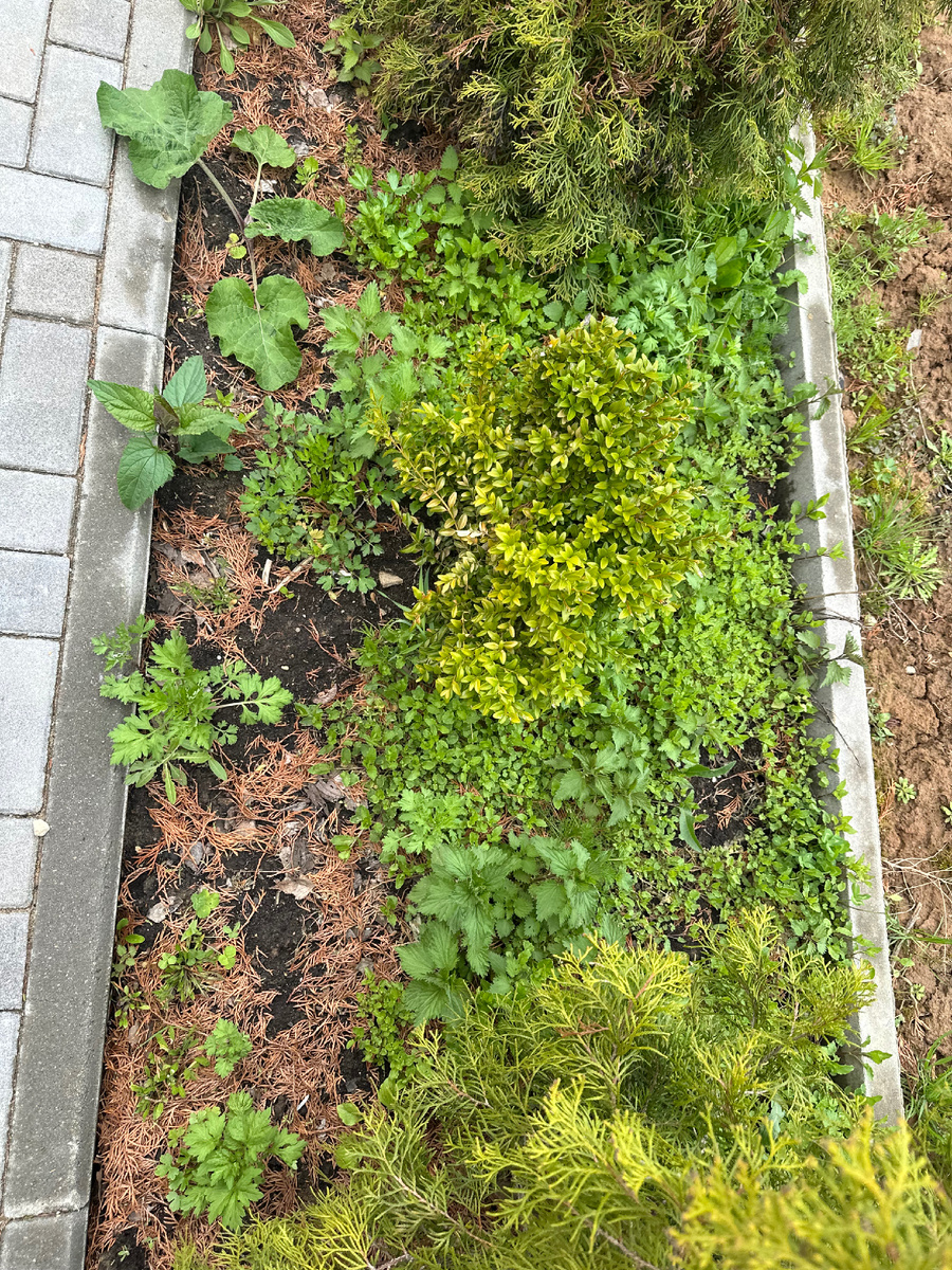 Не очень презентабельно